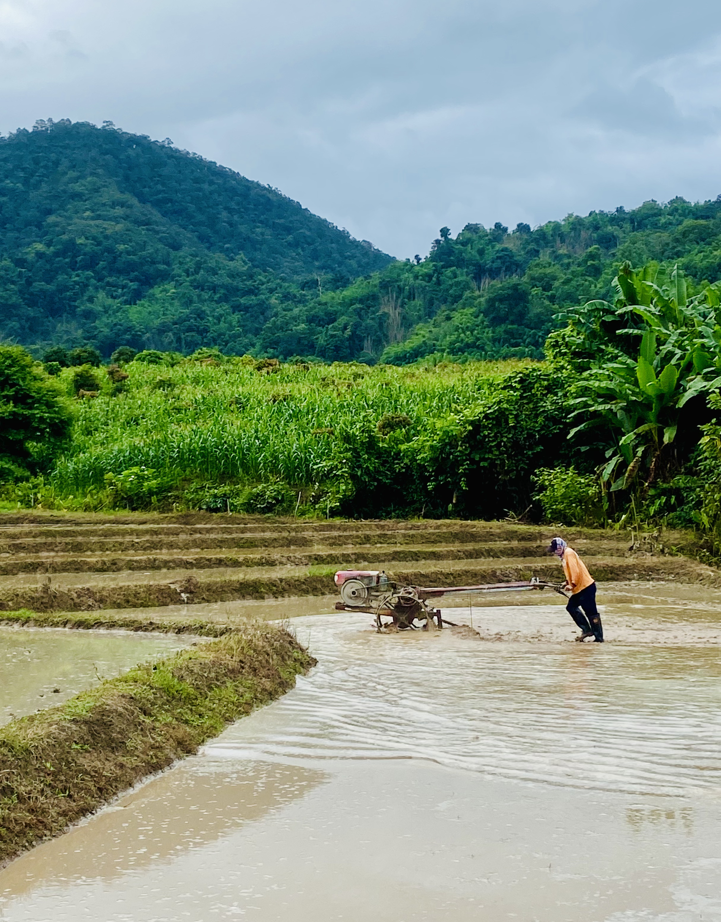 Food security